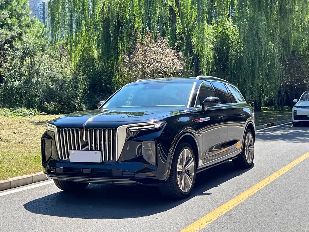 Hongqi Hongqi E-HS9