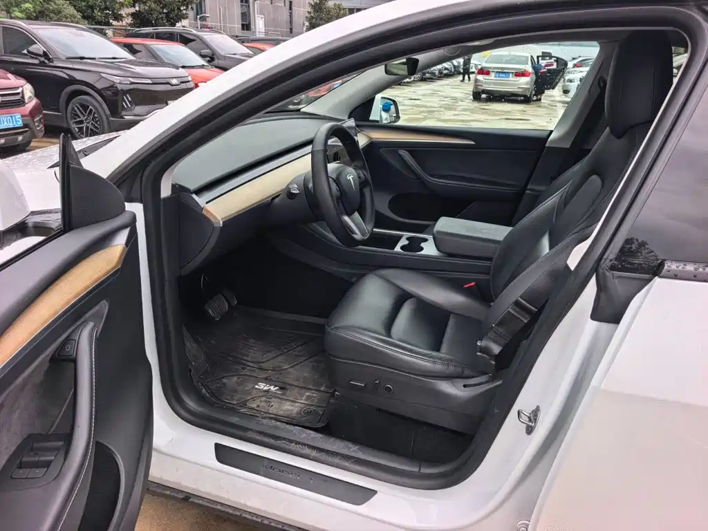 Tesla Model Y — миниатюра 9
