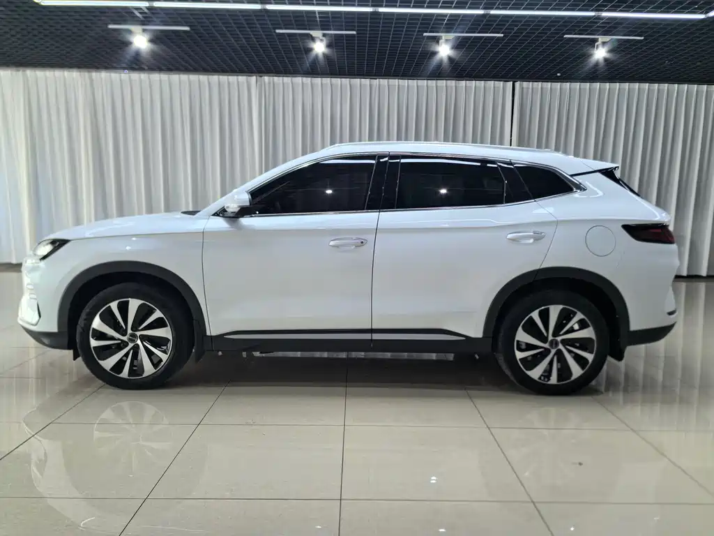BYD PLUS New Energy — миниатюра 8