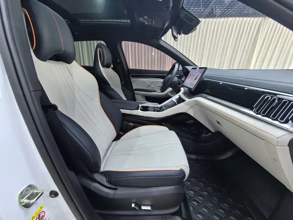 BYD PLUS New Energy — миниатюра 12