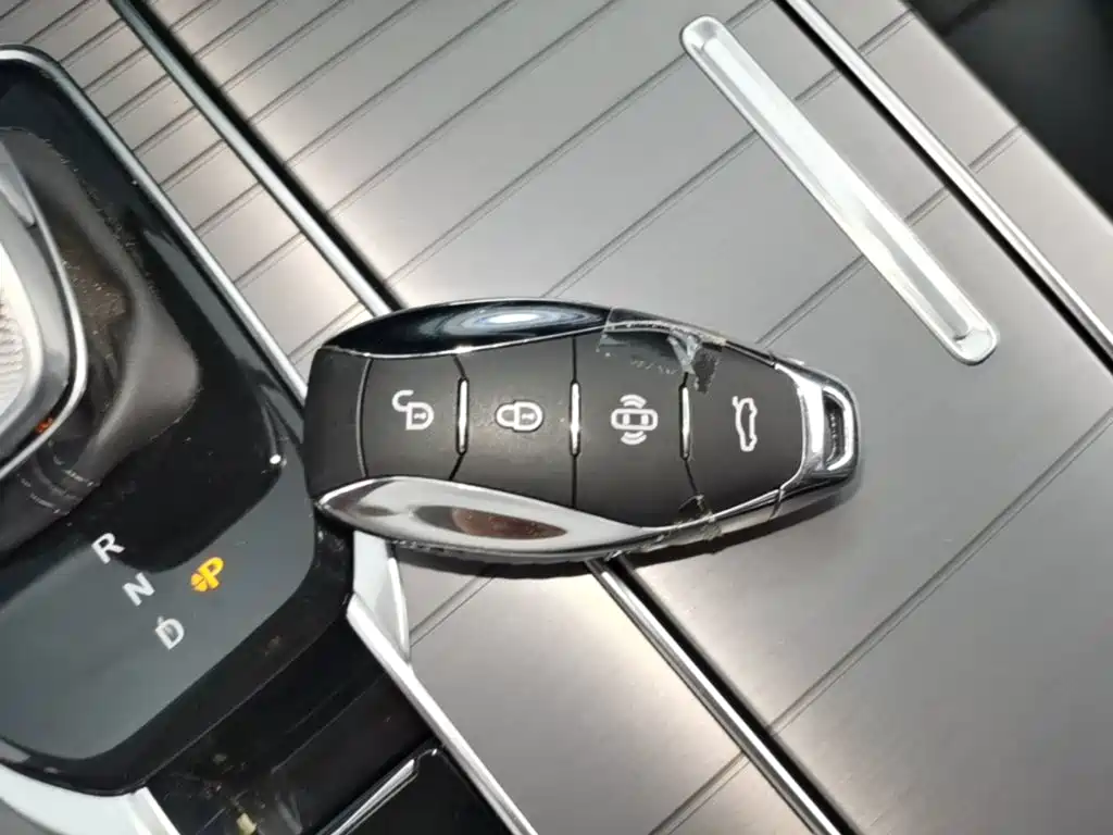 Hongqi Hongqi HS7 PHEV — миниатюра 9
