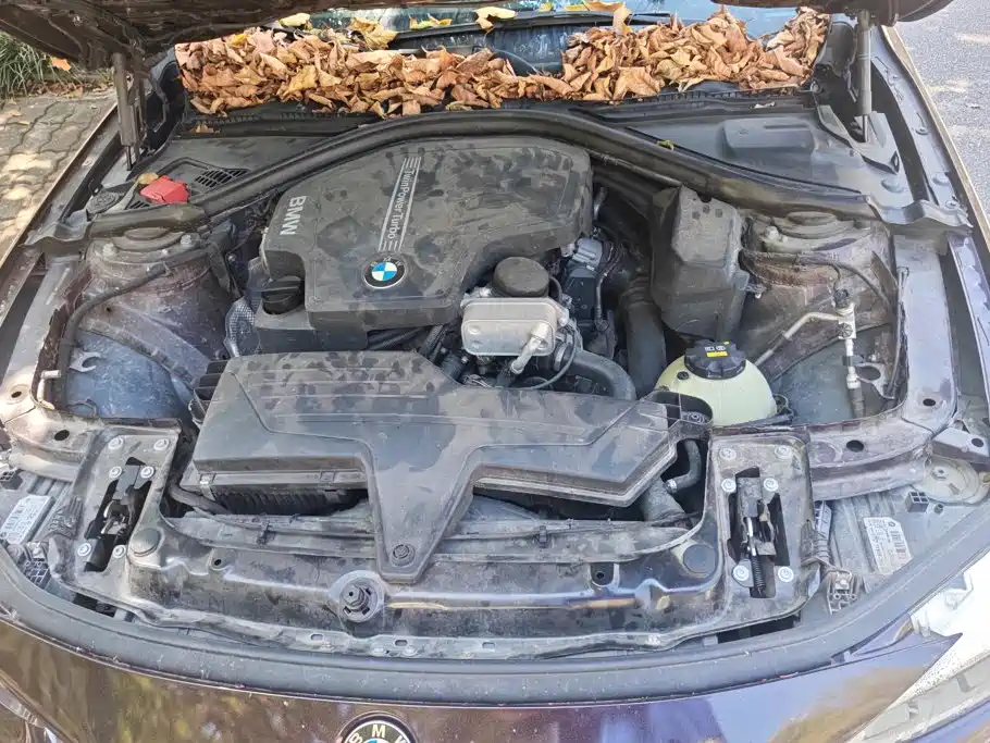 BMW 3 Series — миниатюра 10