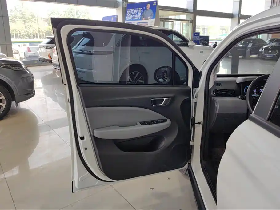 Leapmotor T03 2025 310