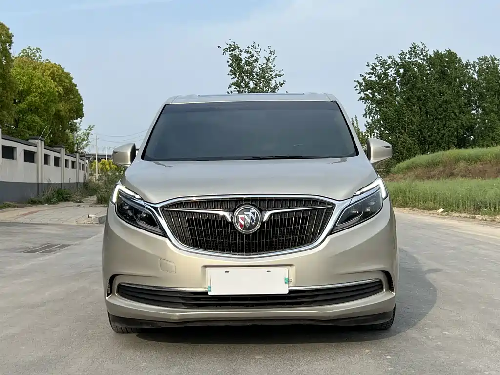 Buick GL8 — миниатюра 2