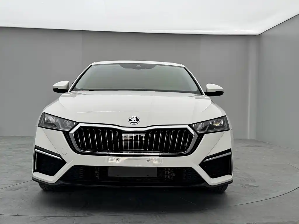 Skoda Octavia — миниатюра 2
