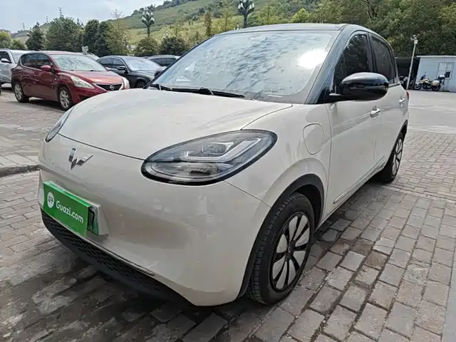 2024 Wuling Motors Binguo