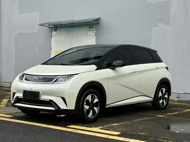 2026 BYD Dolphin