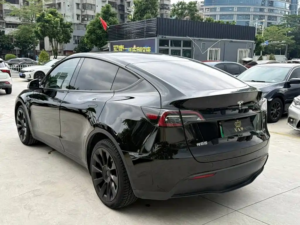 Tesla Model Y — миниатюра 4