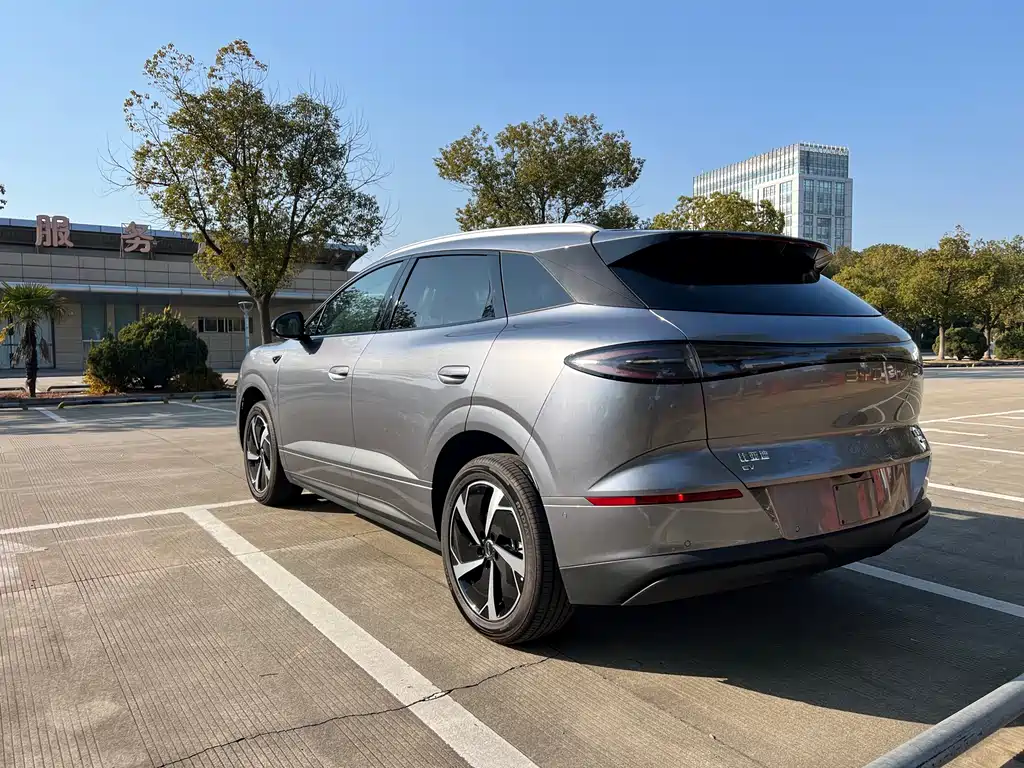 BYD SEA LION 06 NEW ENERGY