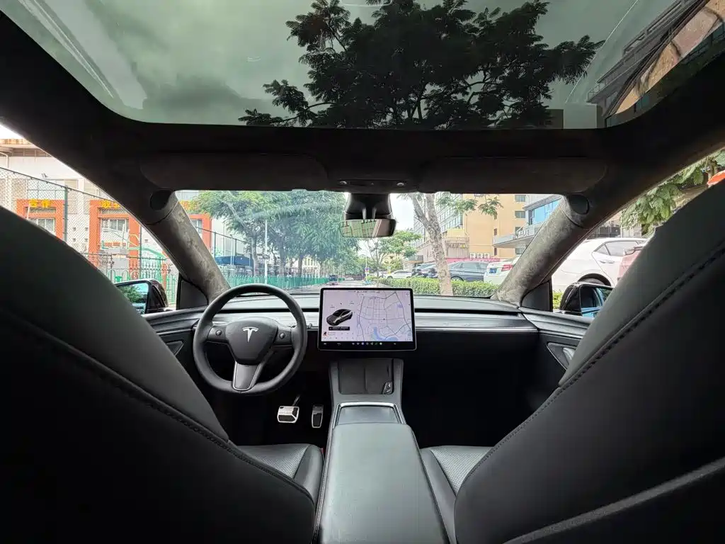 Tesla Model Y — миниатюра 6