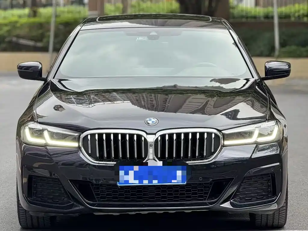 BMW 5 Series 2021