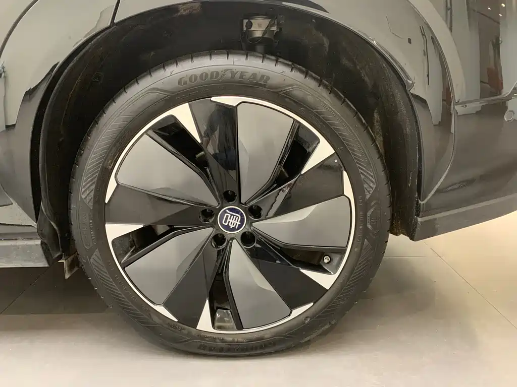 BYD Tang L L 2025 DM 175KM