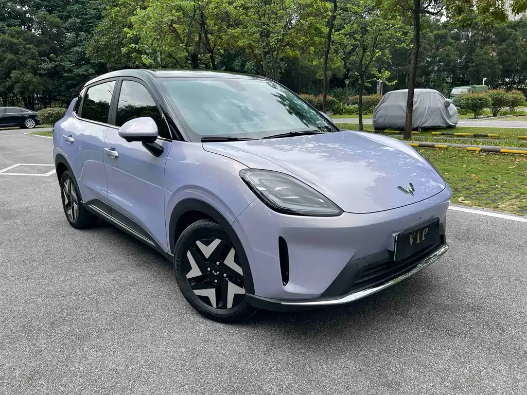 Wuling BinguoS S 2025 430km Flagship