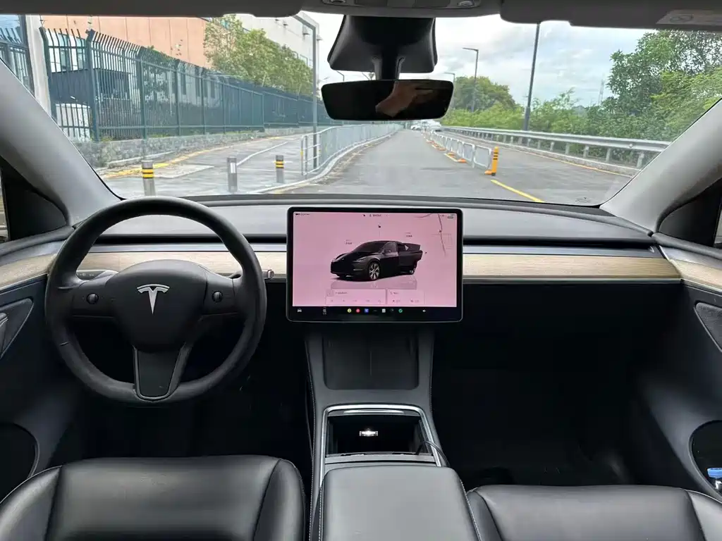 Tesla Model Y — миниатюра 4