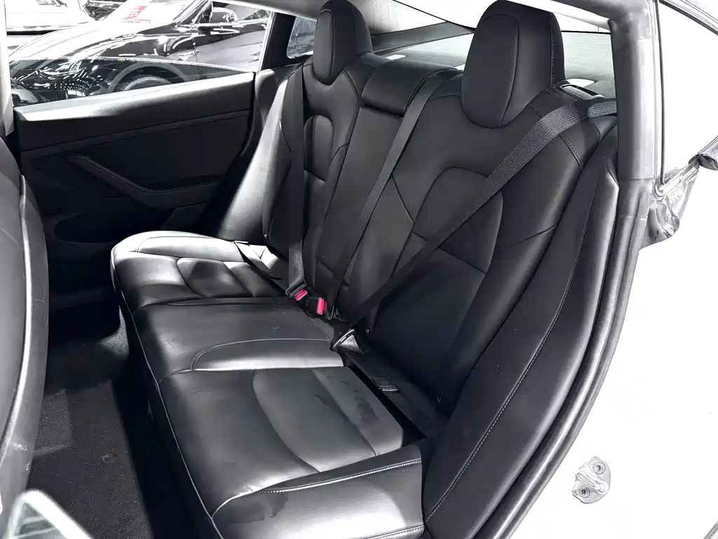 Tesla Model 3 — миниатюра 5