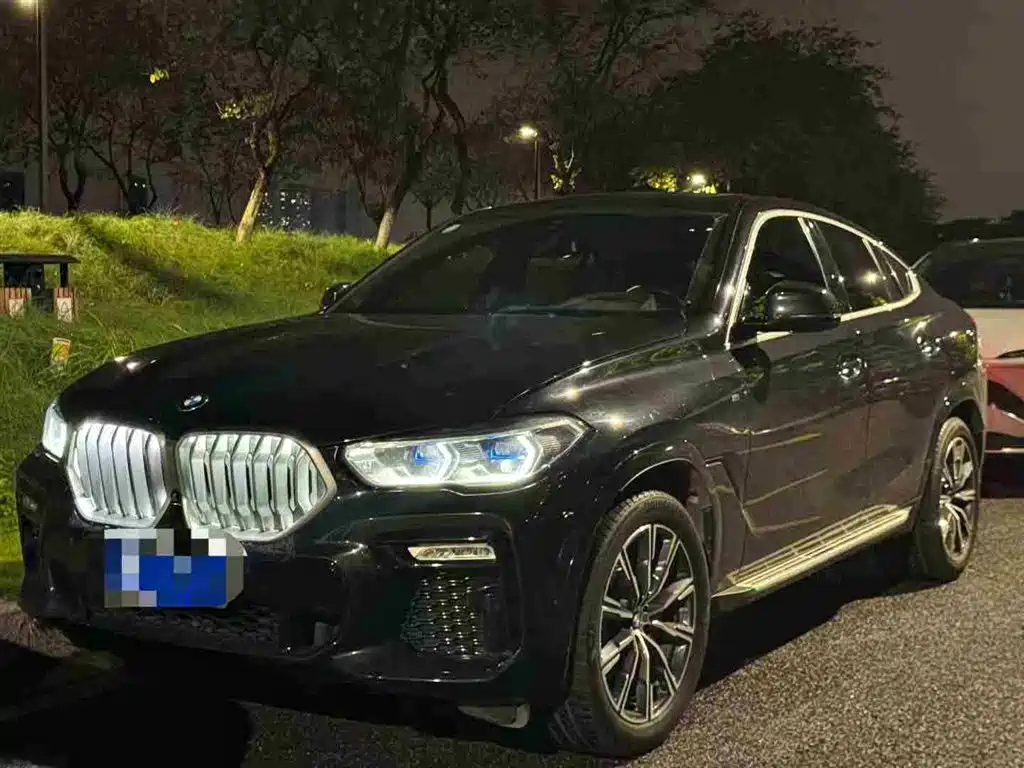 BMW X6 2021