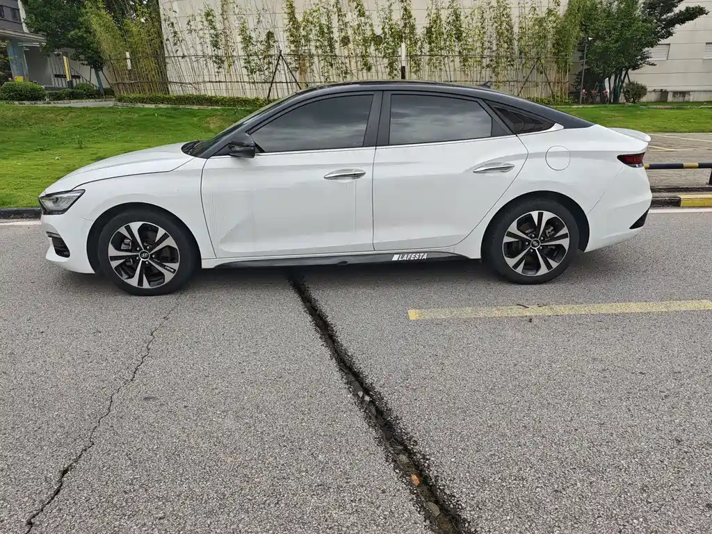 Hyundai Fista — миниатюра 4