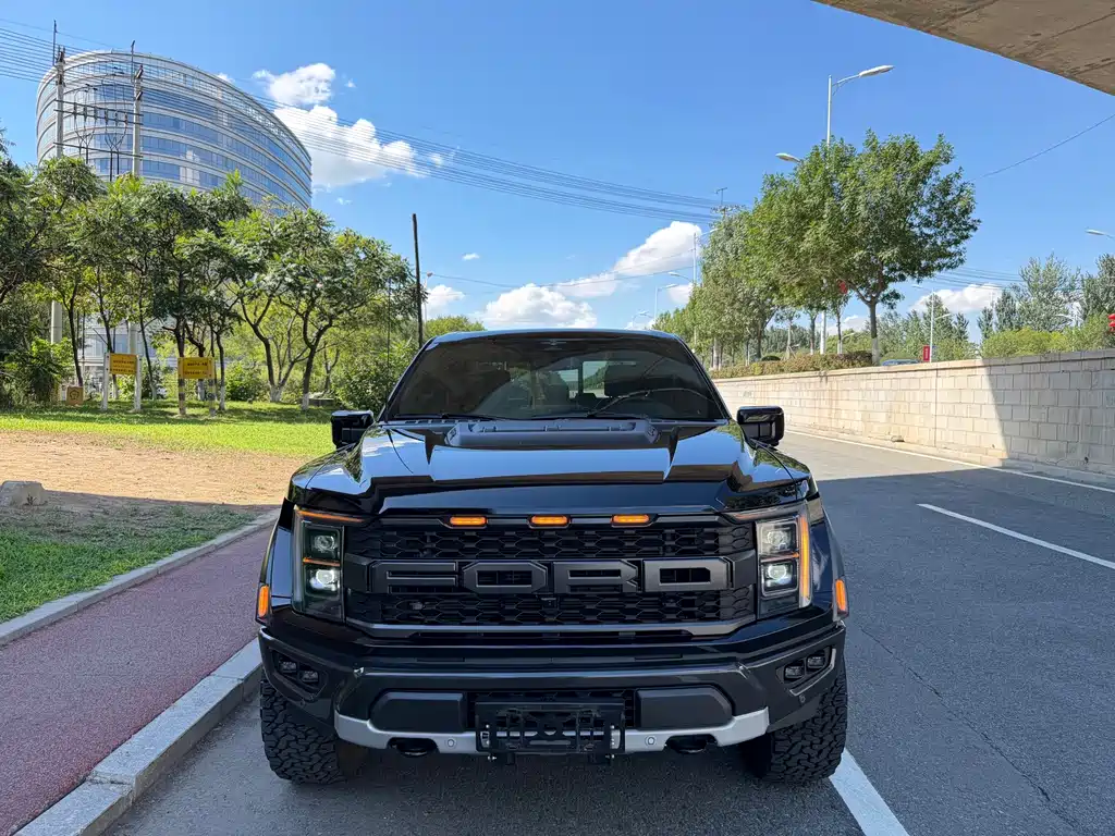 Ford F-150 Raptor — миниатюра 2