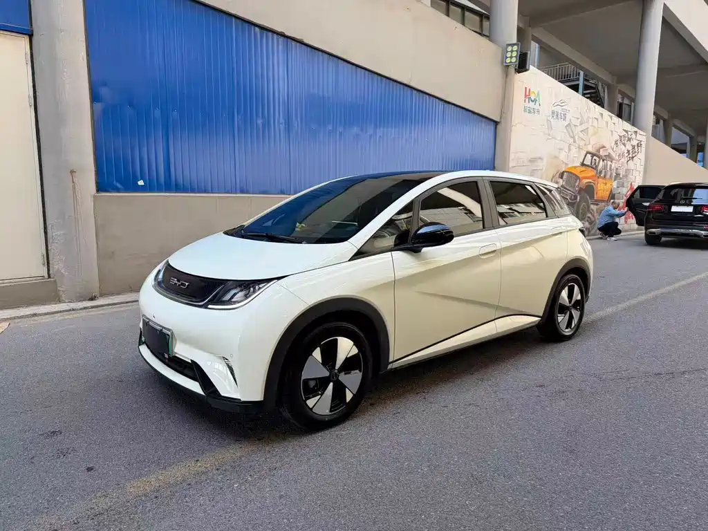 Byd Dolphin 2024