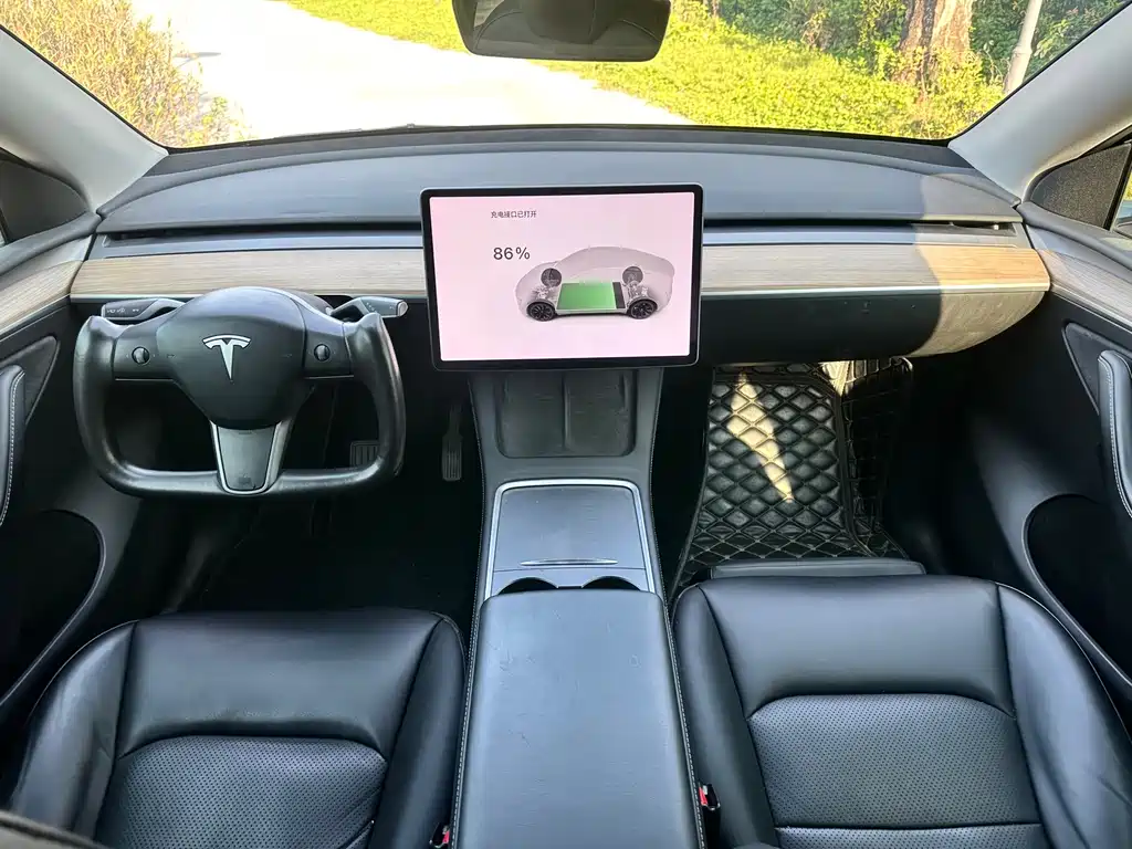 Tesla Model Y — миниатюра 10