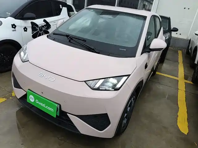 2026 BYD Seagull