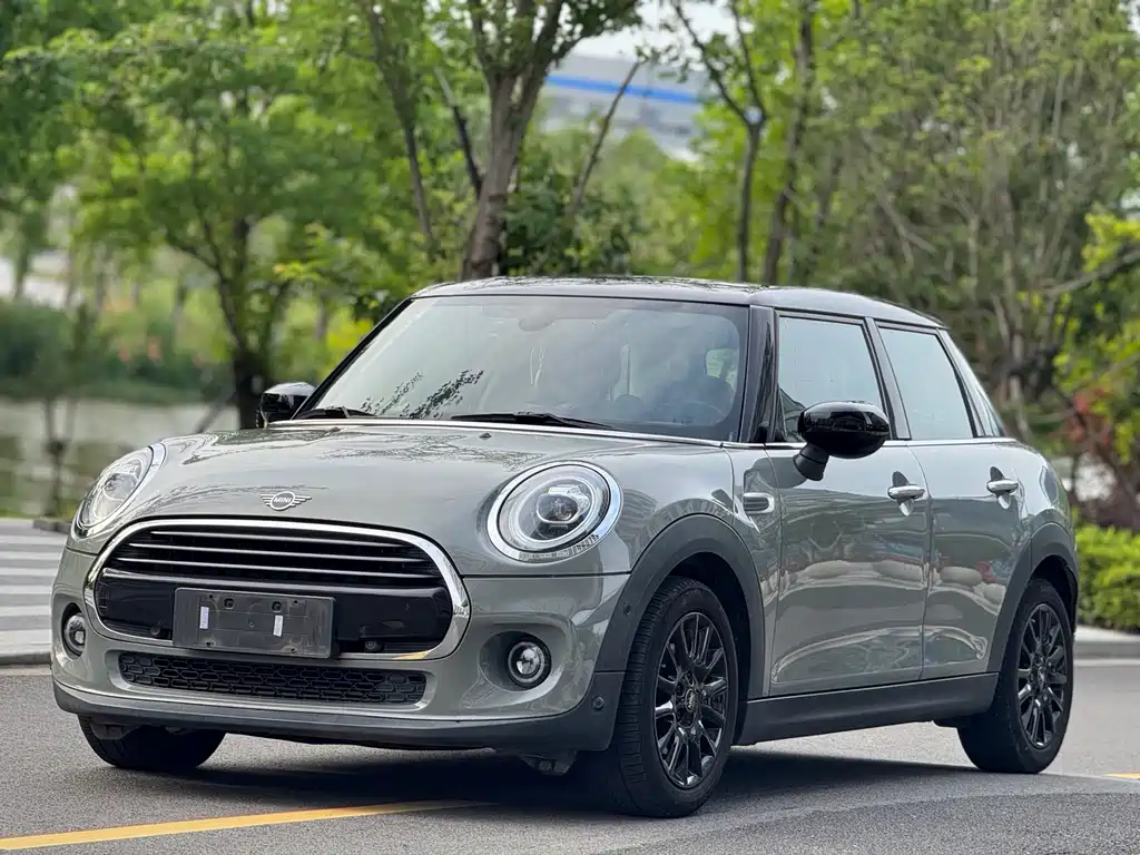 Mini Mini 2021