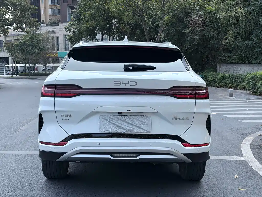 BYD SONGJIANG NEW ENERGY