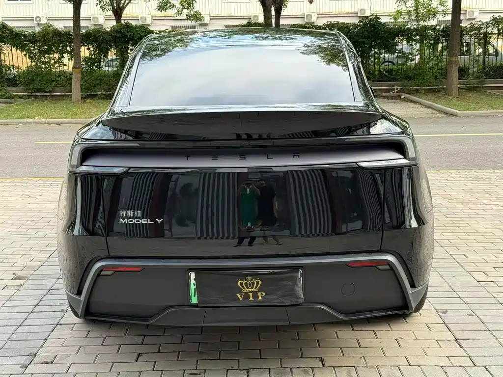 Tesla Model Y — миниатюра 4