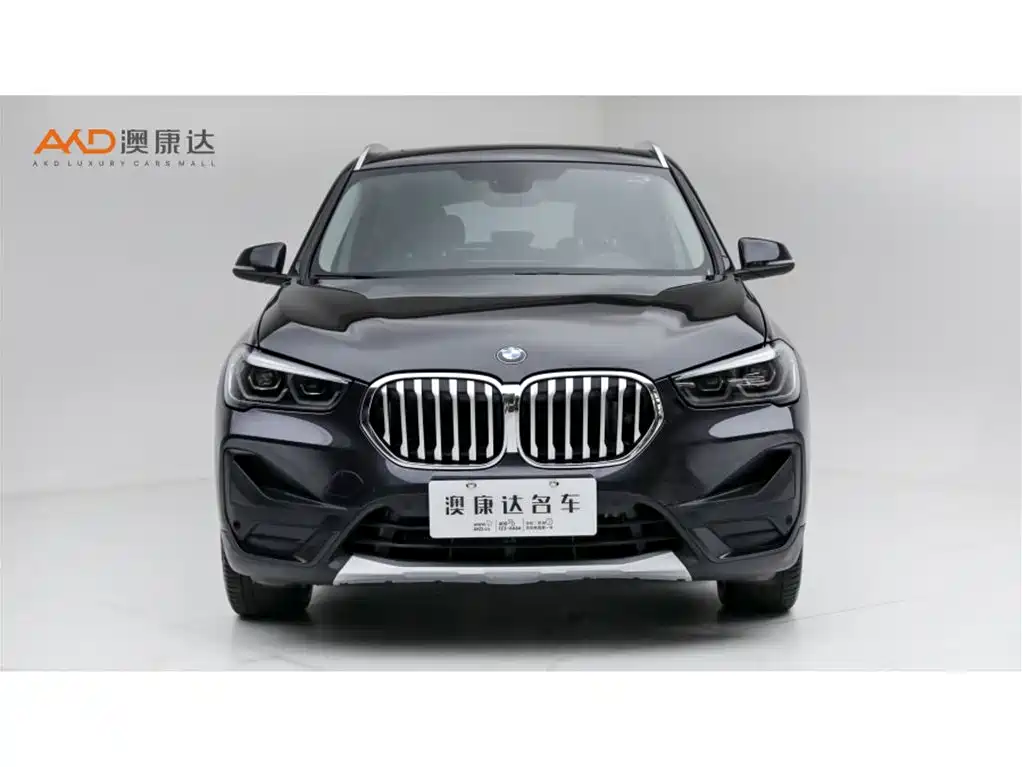 BMW X1 — миниатюра 2