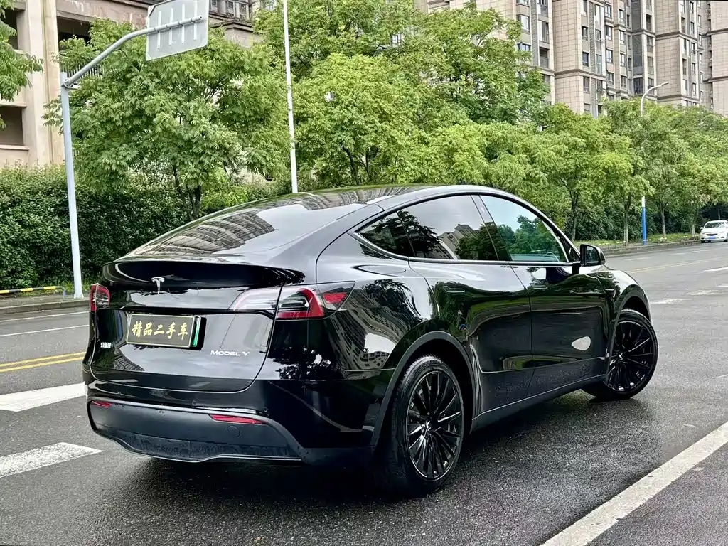 Tesla Model Y — миниатюра 8