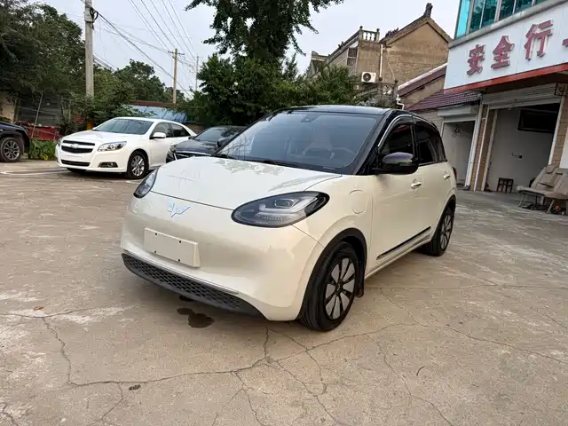 2024 Wuling Motors Binguo
