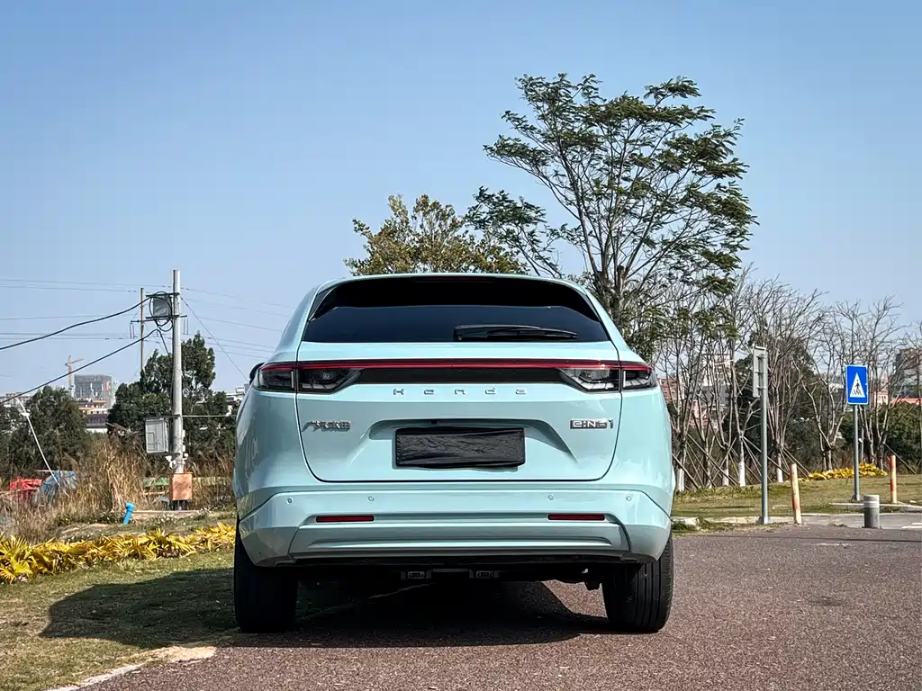 HONDA E: NP1 POLE PAI 1