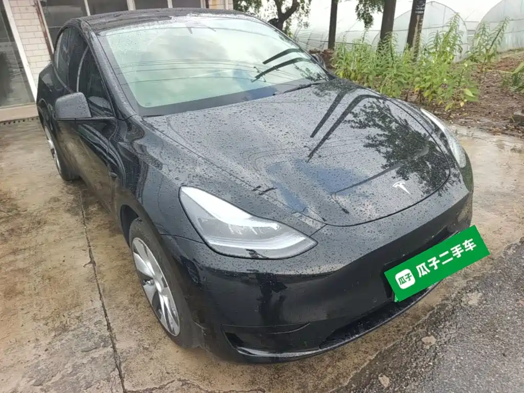 Tesla Model Y — миниатюра 4