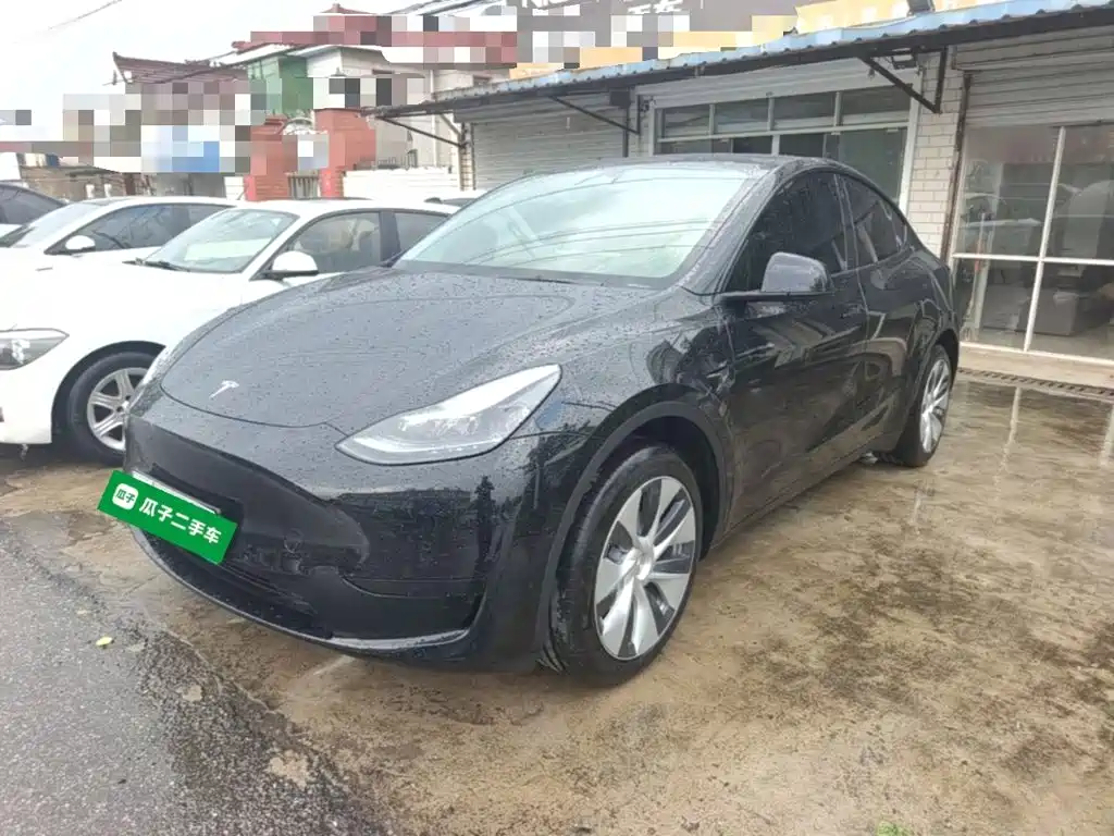 Tesla Model Y — миниатюра 2