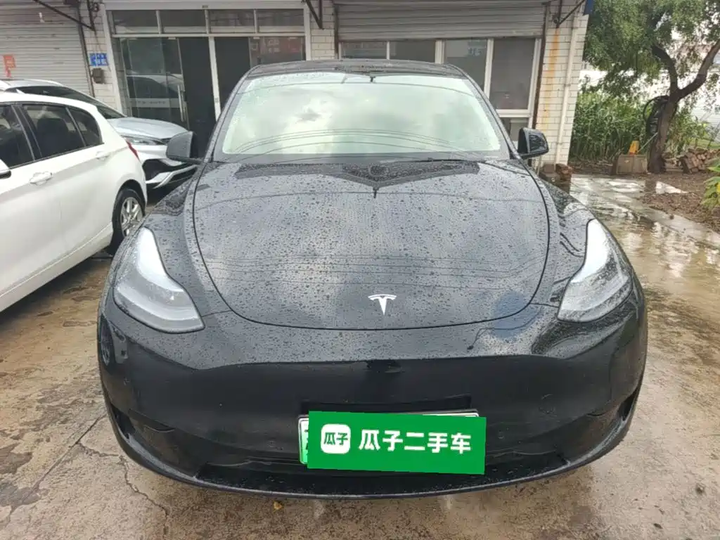 Tesla Model Y — миниатюра 3