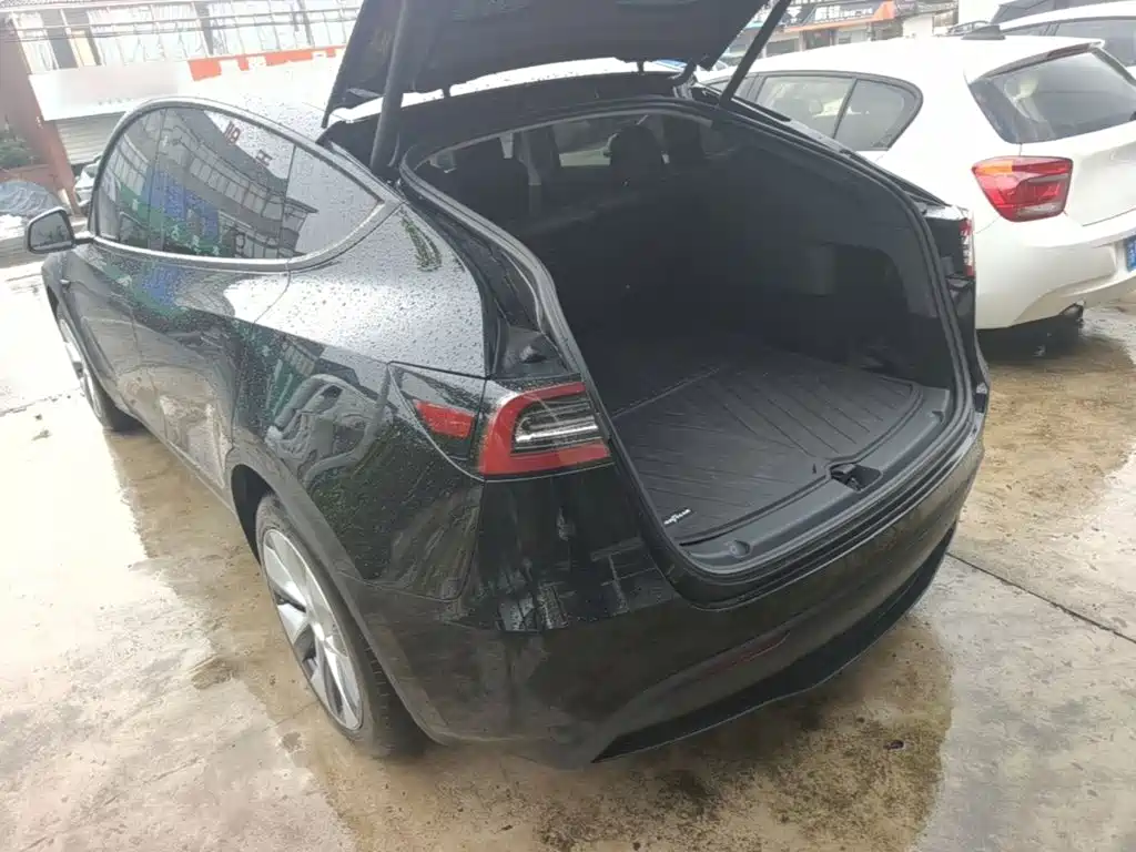 Tesla Model Y — миниатюра 5