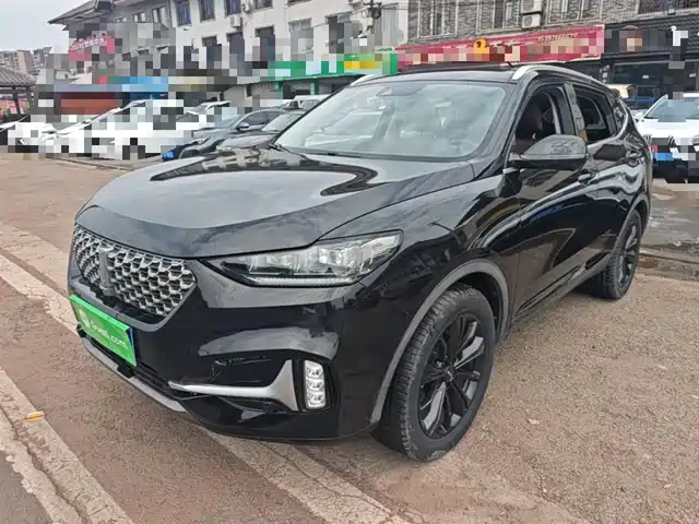 2020 Wey VV6