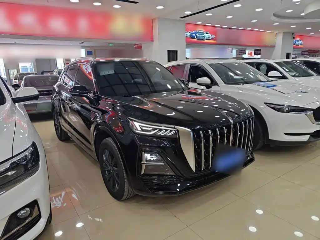 Hongqi Hongqi HS5 — миниатюра 7