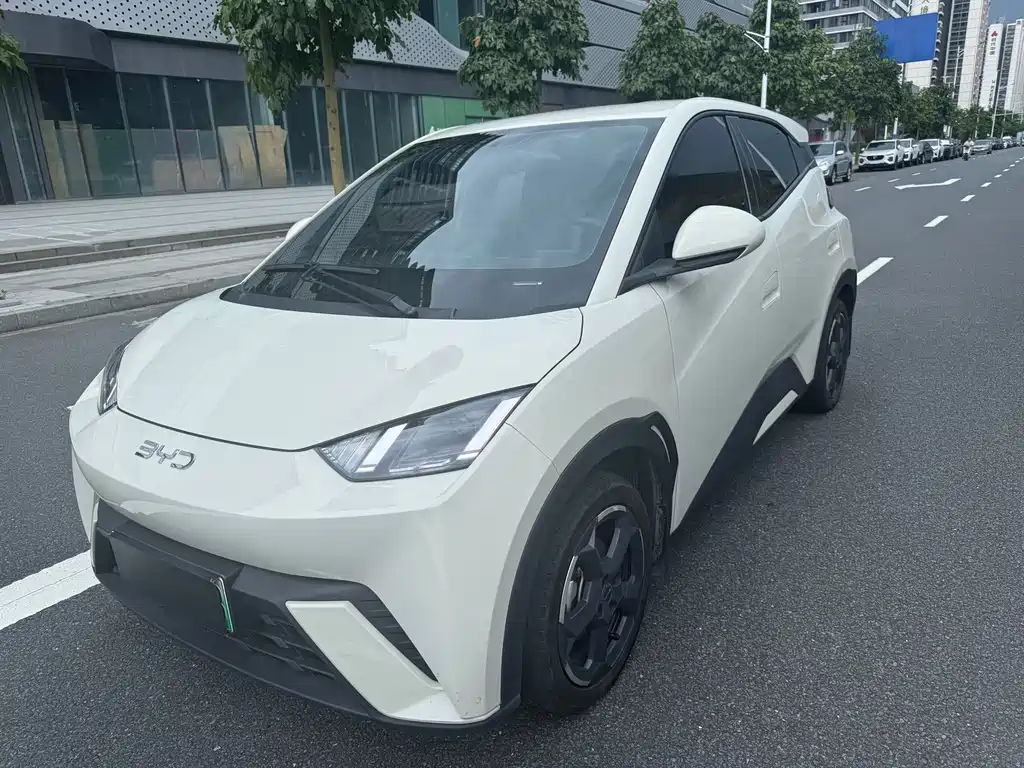 BYD Seagull