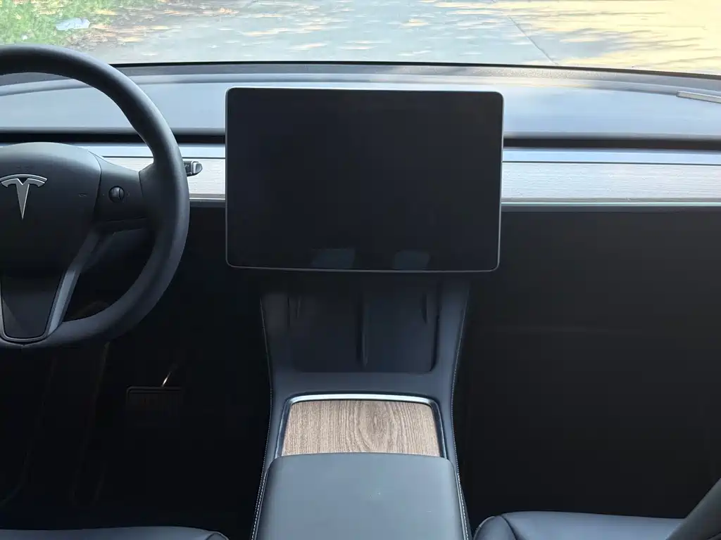 Tesla Model Y — миниатюра 9