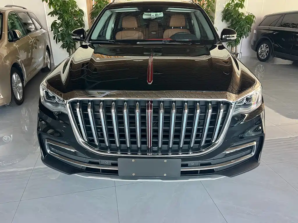 Hongqi Hongqi HS7 — миниатюра 2