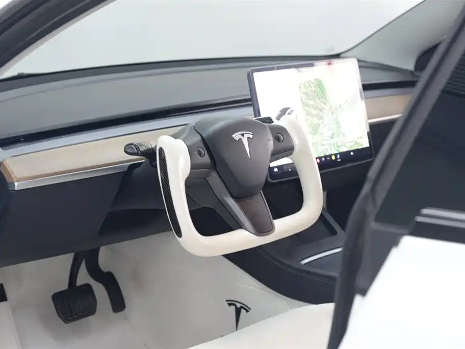 Tesla Model 3 2021 3D1