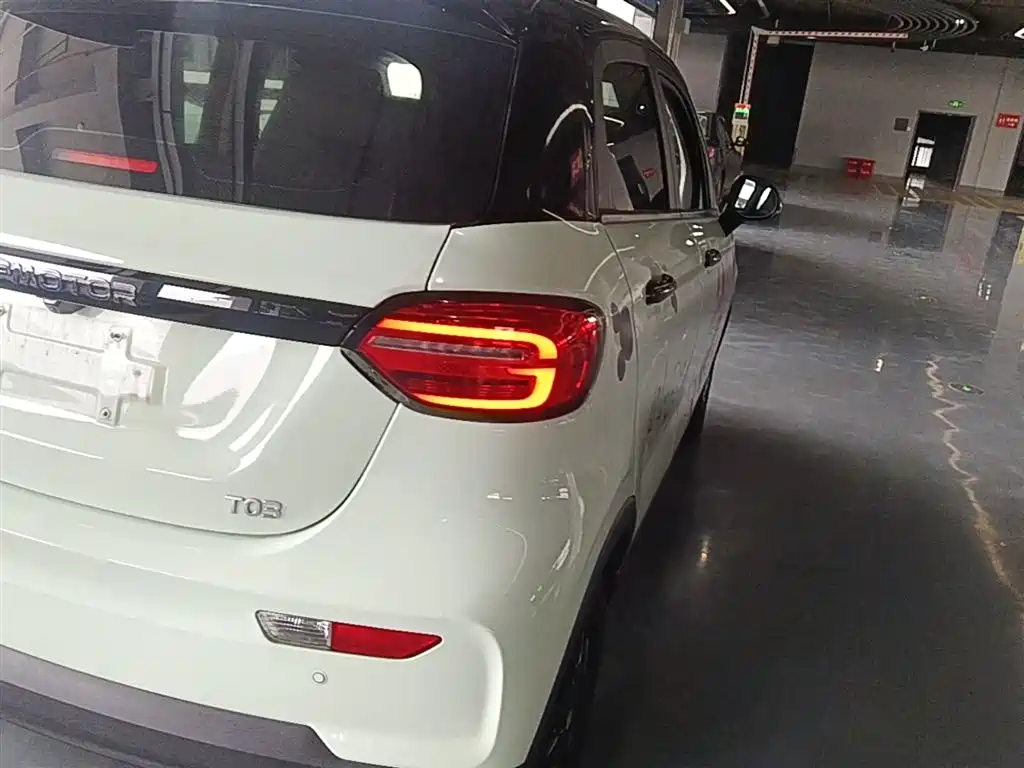 Leapmotor T03 2025 310