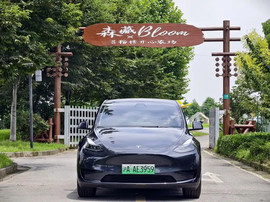 Tesla Model Y — миниатюра 3