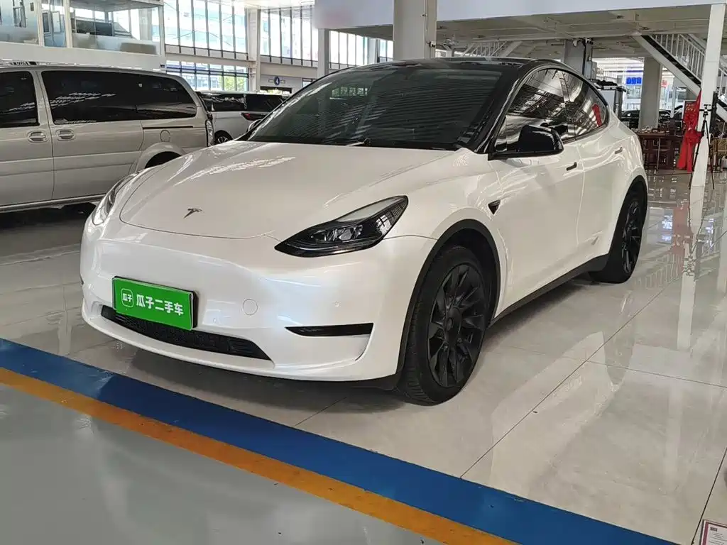 Tesla Model Y — миниатюра 2