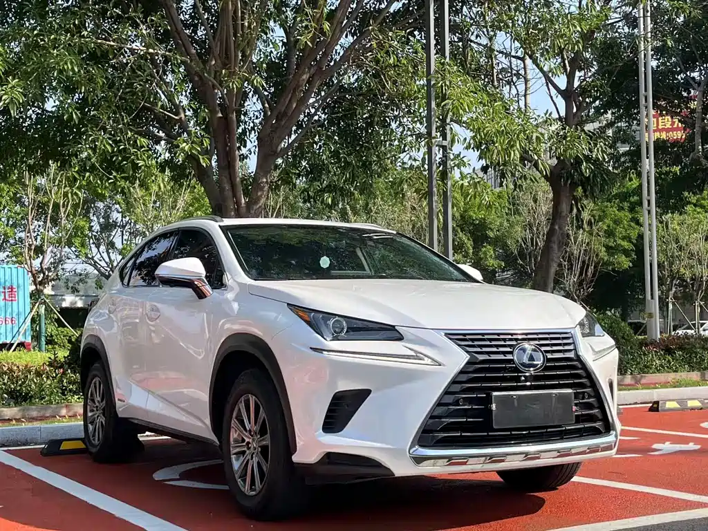 LEXUS  NX