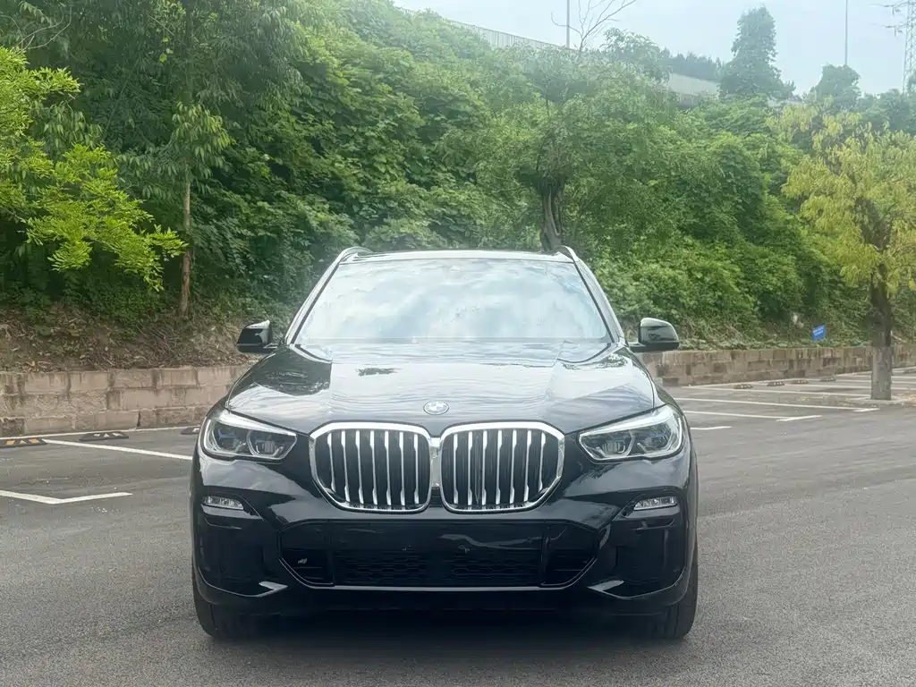 BMW X5 2020 xDrive30i M Sport