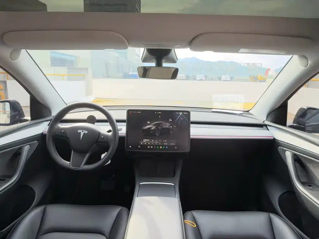 Tesla Model Y — миниатюра 7