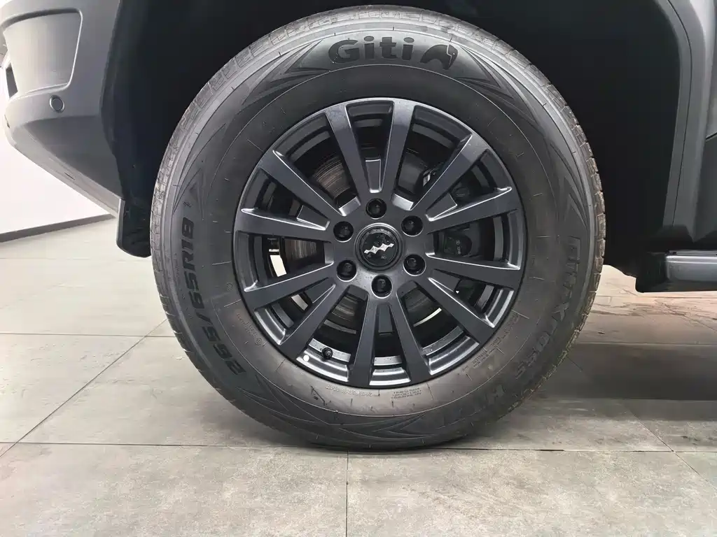 FANG CHENG BAO LEOPARD 5