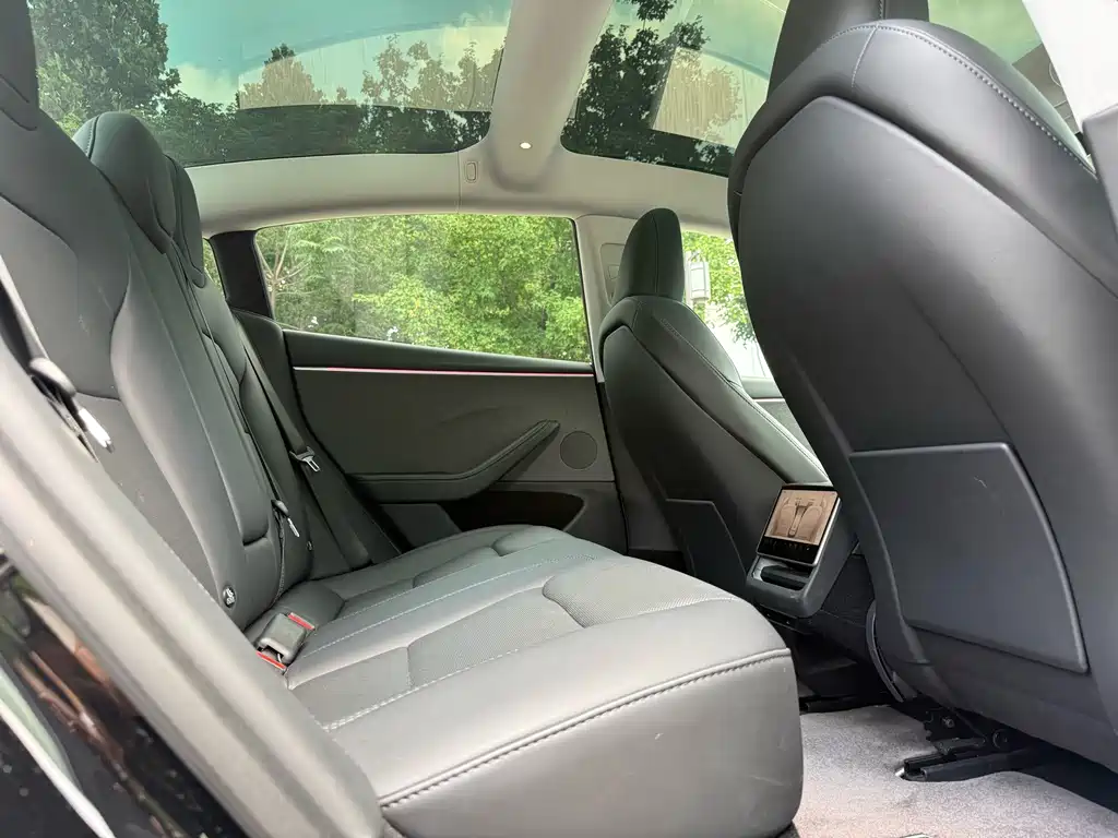 Tesla Model 3 — миниатюра 8